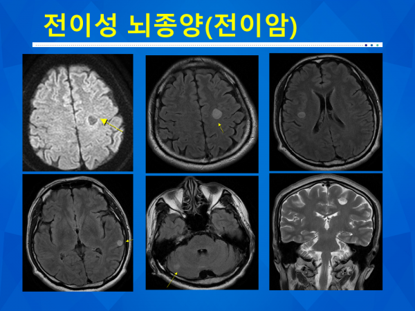 b00e2311926820d768aa4467c31fc20d_1773364