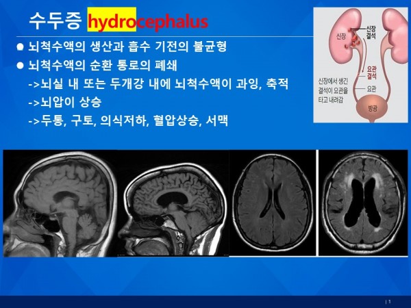 db532369aec88b715bebe44ab1ba9cbd_1781859