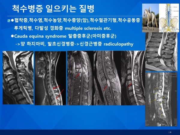 97850a9a8380101df1d12a9f7f7f2778_1789114