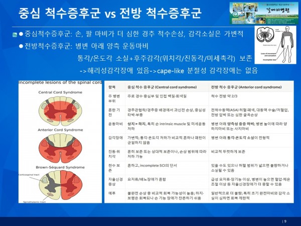 ece5cadc75afae13207785a1af2ac872_1790147