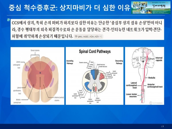 ece5cadc75afae13207785a1af2ac872_1790151